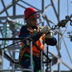 electrical engineers