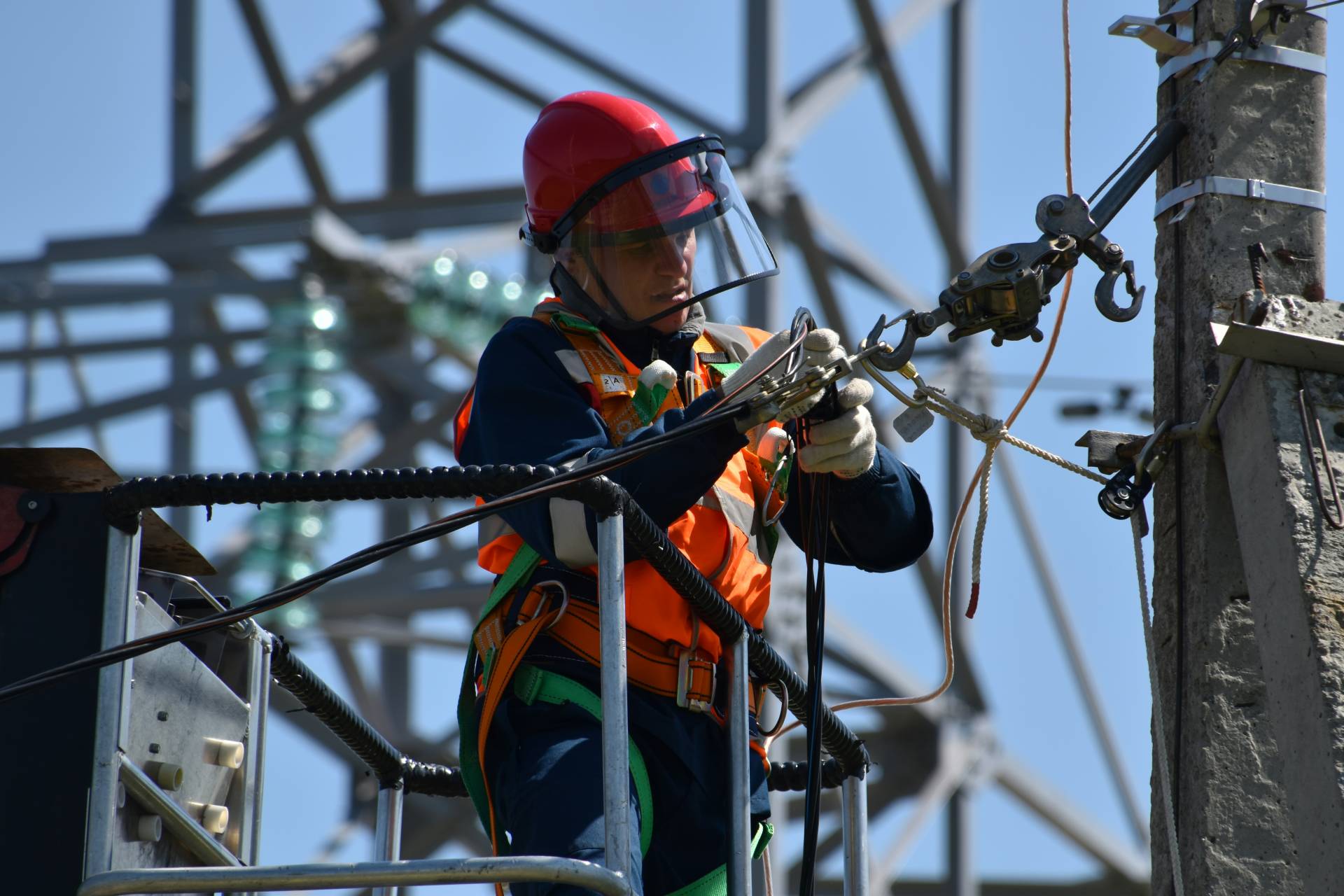 electrical engineers