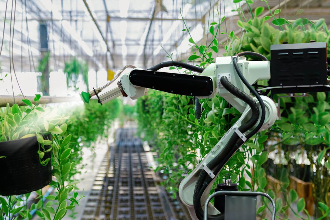 Le programme Net Zero et Clean Energy du Royaume-Uni accélère