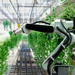 Le programme Net Zero et Clean Energy du Royaume-Uni accélère