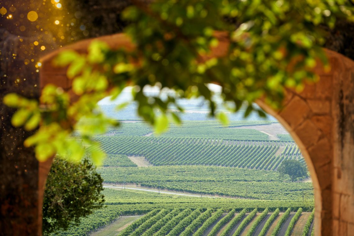 Découvrez la chaleur hivernale au pays du Cognac