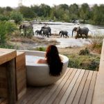 L'évasion du Michelin Key Trail en Afrique du Sud