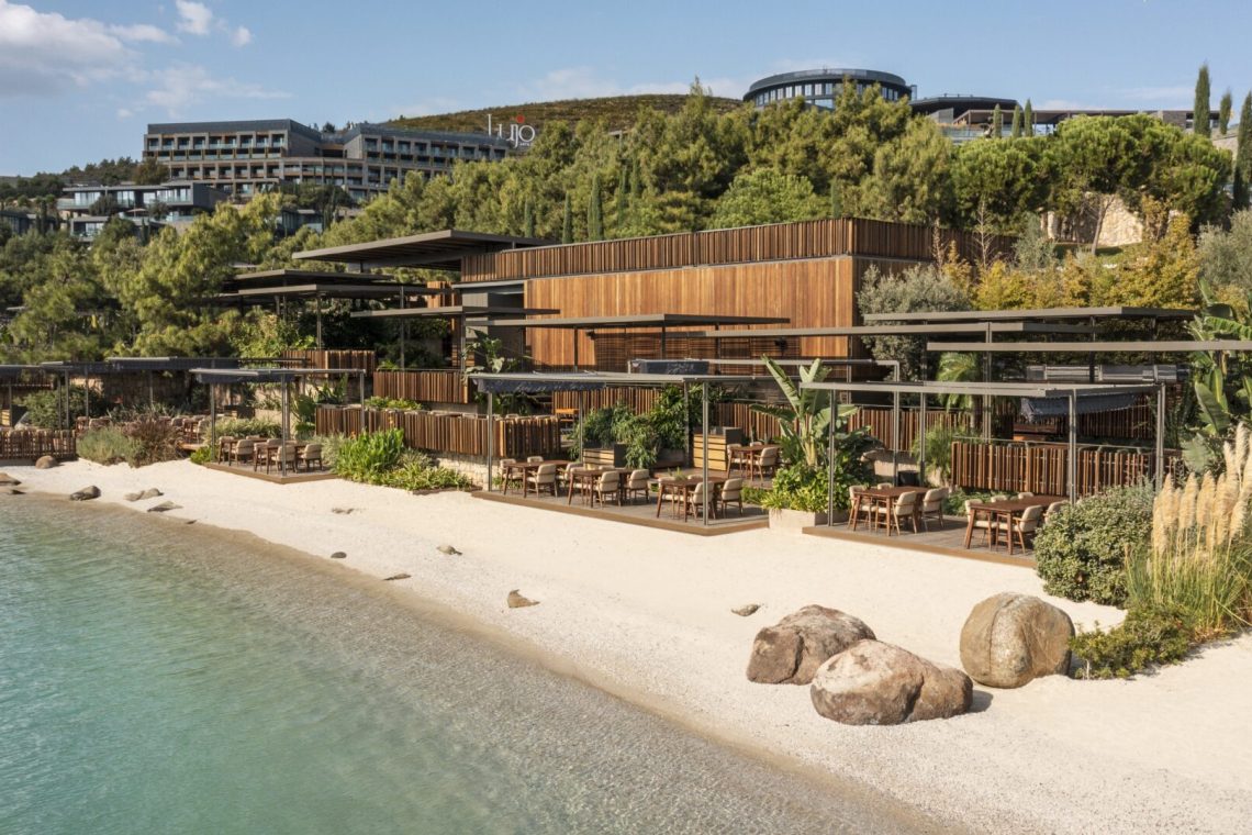 Expérience culinaire privée exclusive de longévité égéenne