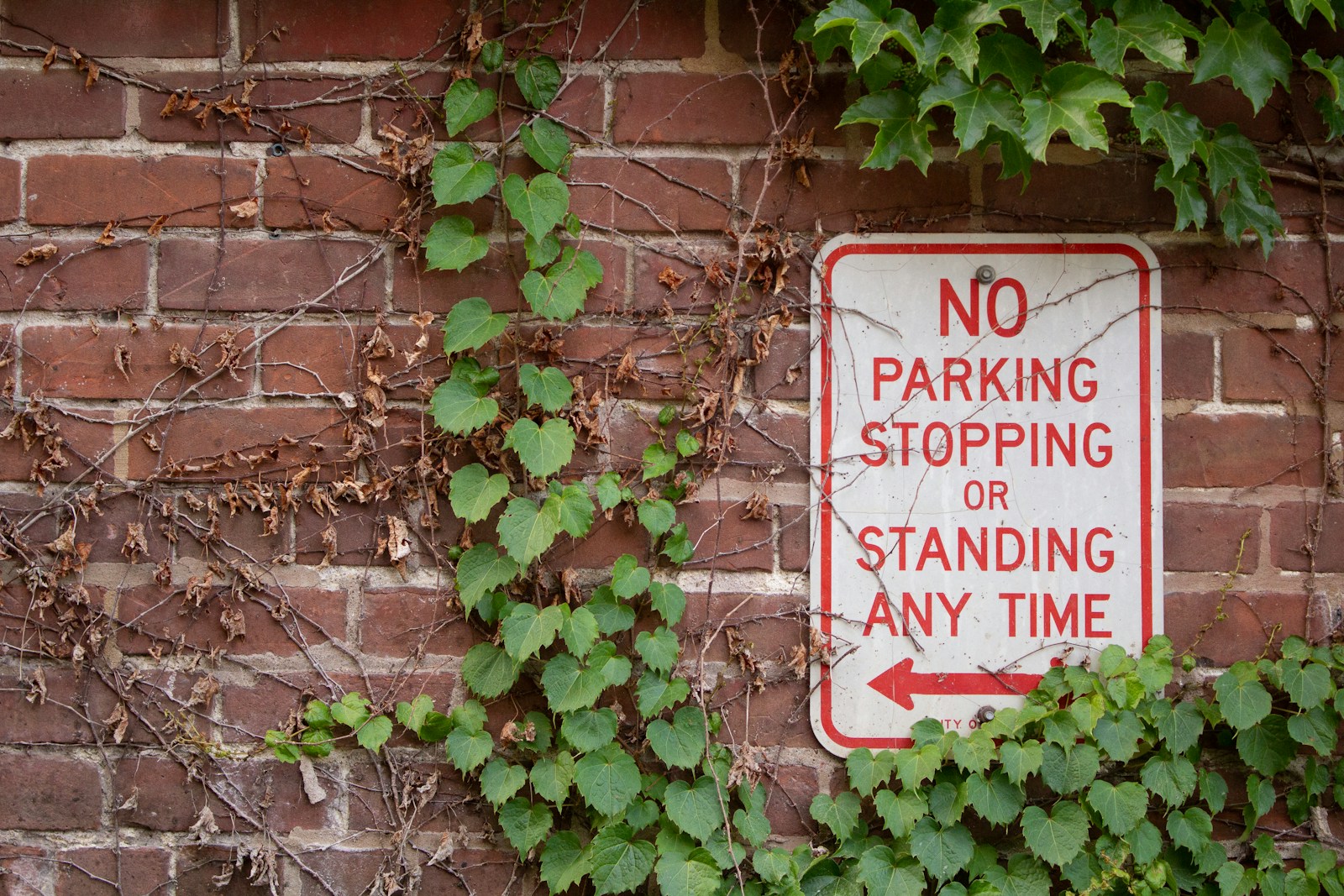 Startup Rules