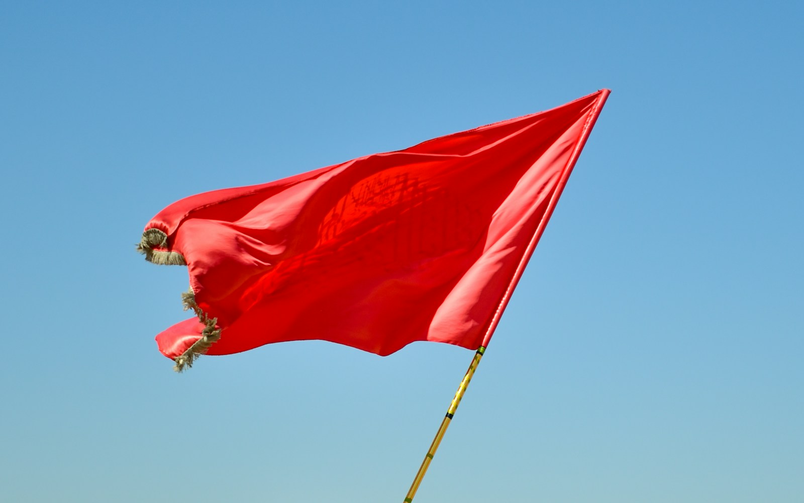 co-founder red flags