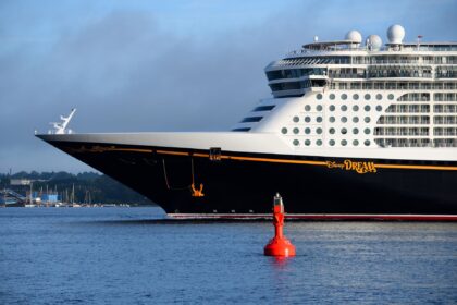 a disney cruiseline; Every Entrepreneur Can Learn From a Disney Cruise