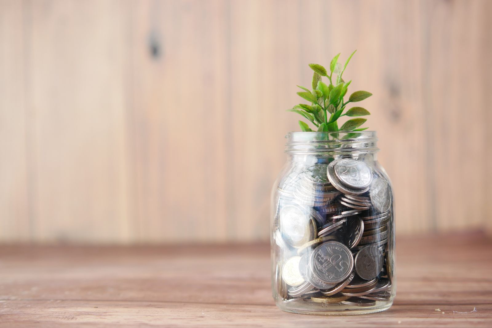 A jar filled with coins and a plant symbolizes growth in savings and investment; seed funding