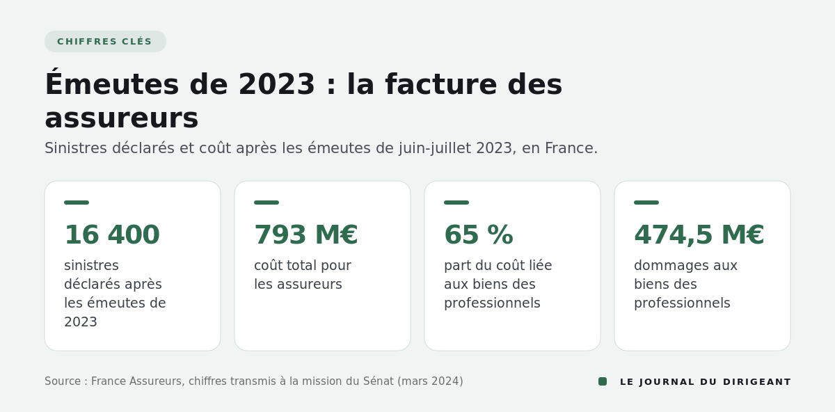 Chiffres clés : 16 400 sinistres, 793 millions d'euros, 65 % du coût pour les professionnels, 474,5 millions d'euros.